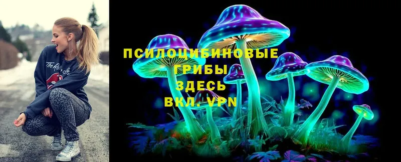 Галлюциногенные грибы Psilocybine cubensis  Нововоронеж 